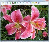 Free Photo Slide Show Screenshot